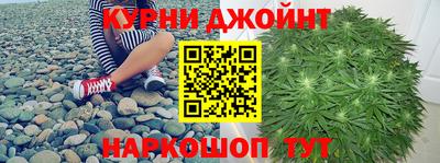 наркотики Гатчина