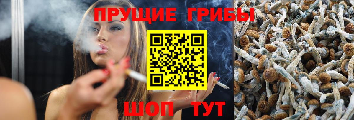 Псилоцибиновые грибы GOLDEN TEACHER Октябрьский