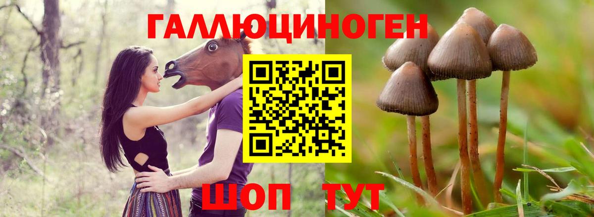 Галлюциногенные грибы Magic Shrooms  Вход с VPN  цены наркотик  Октябрьский 
